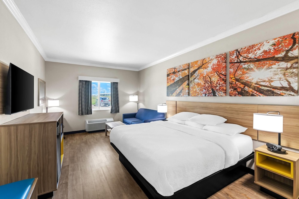 غرفة بسرير كينج لذوي الإعاقة