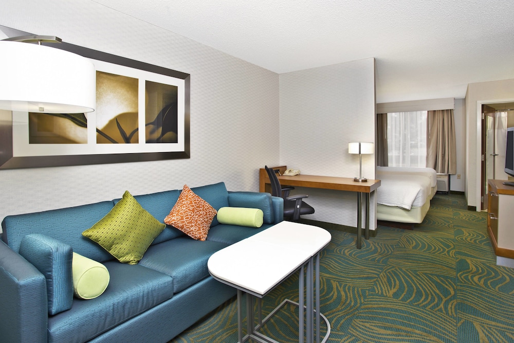 SPRINGHILL SUITES BY MARRIOTT CHICAGO ELMHURST/OAKBROOK AREA 26/36