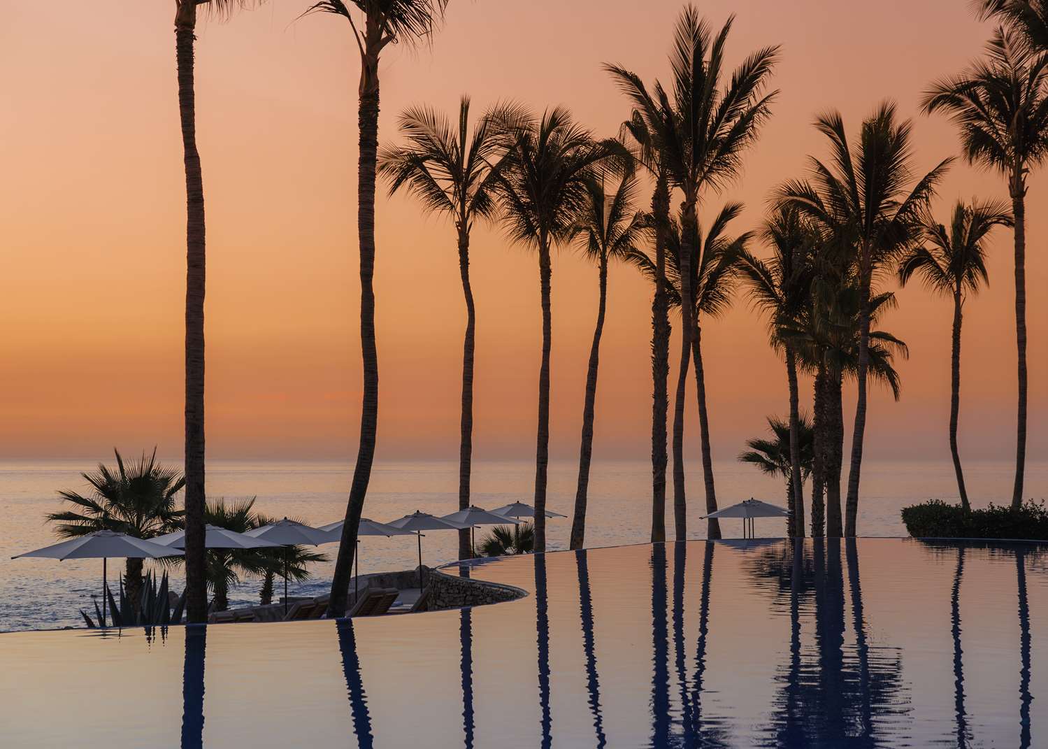 One&Only Palmilla 11/18