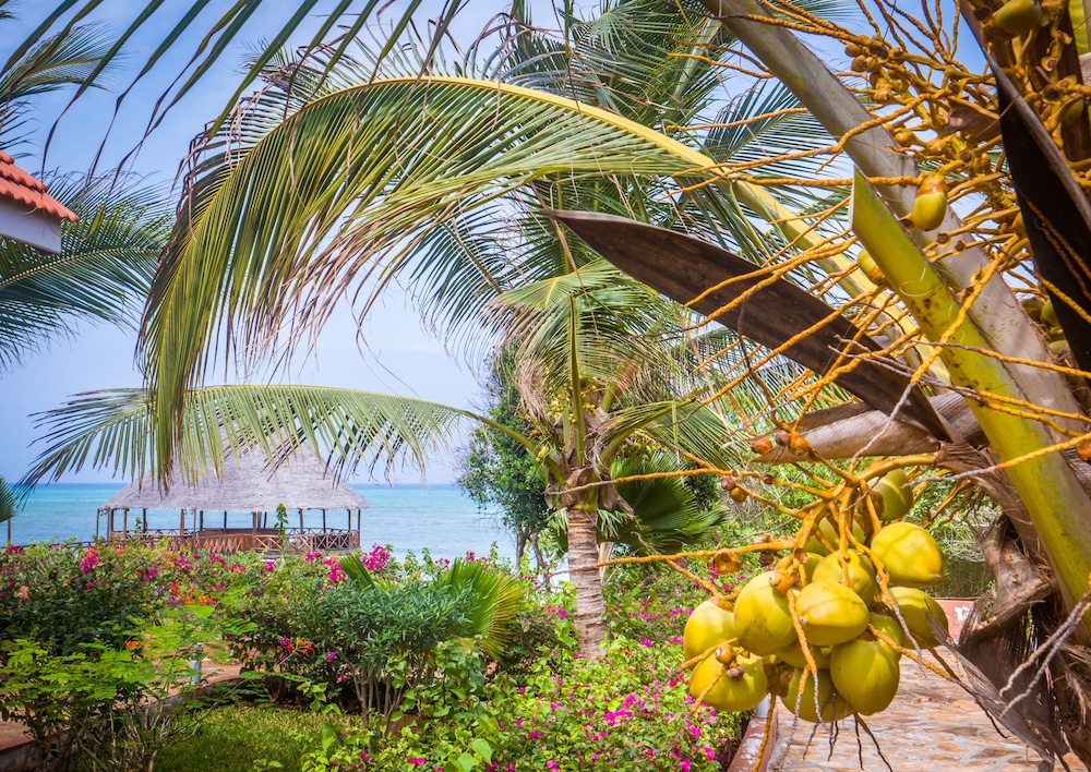 Azao Resort & Spa, Zanzibar 36/50