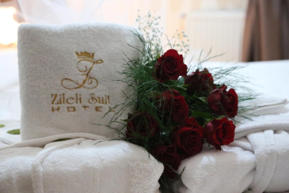 Hotel Zileli 12/71
