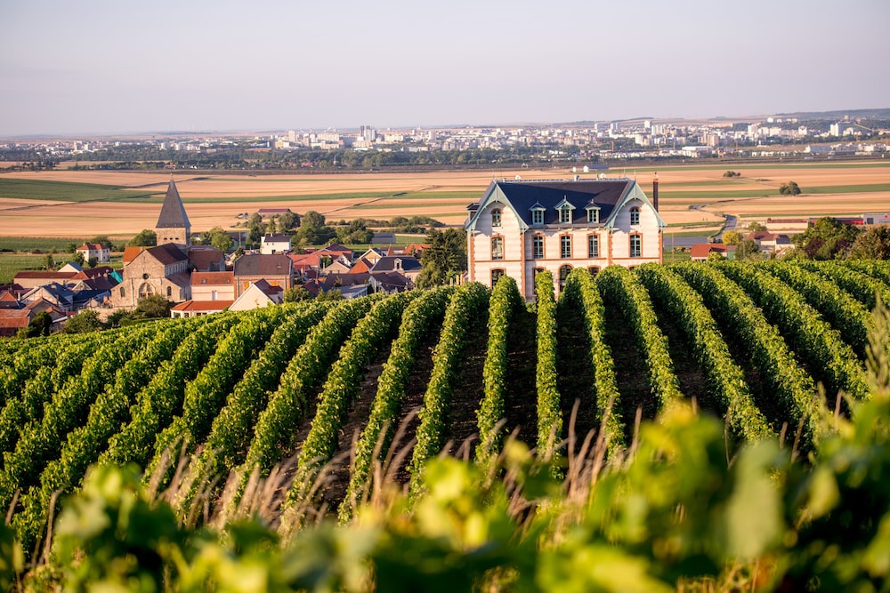 Chateau de Sacy 39/50