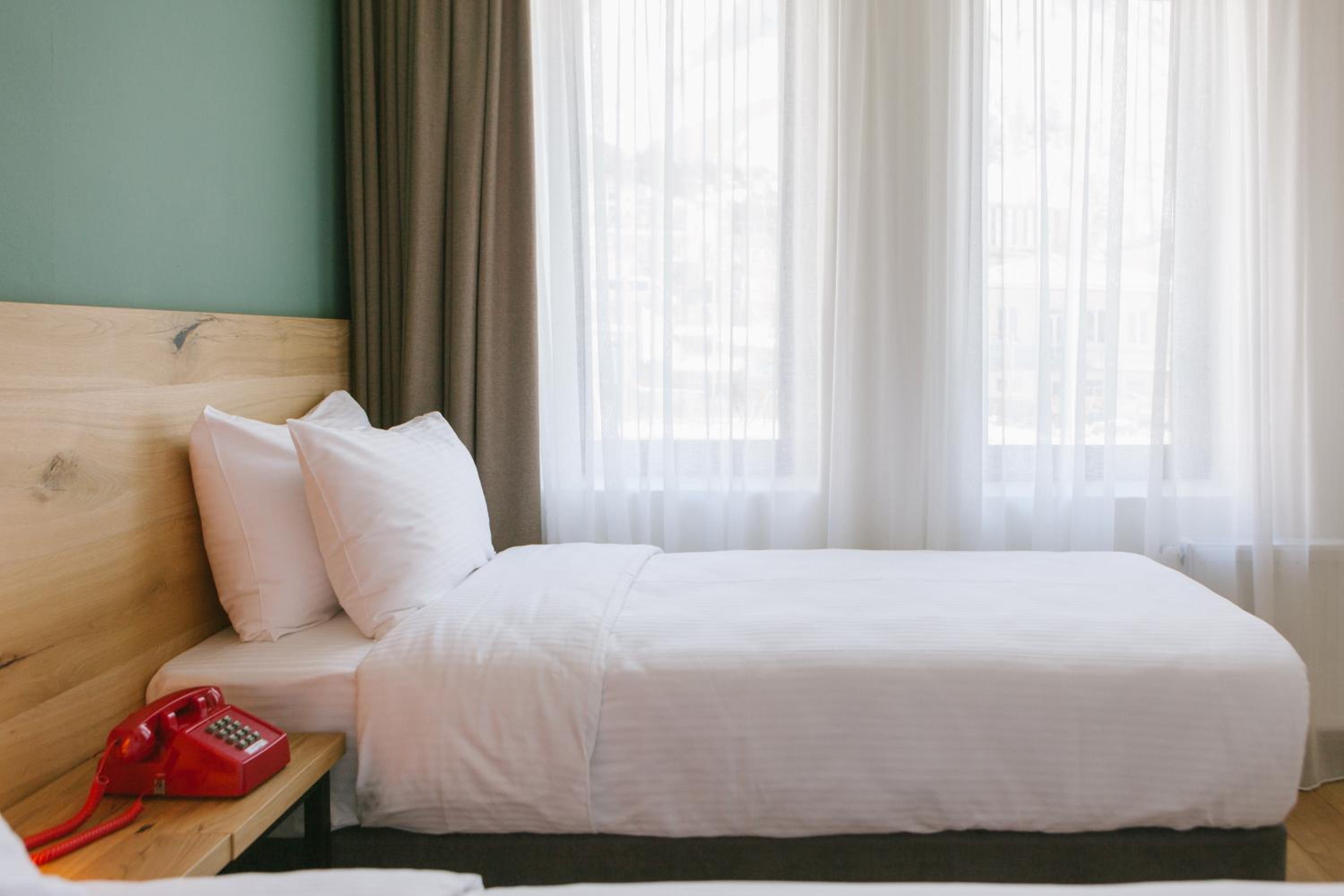 Standard, Double Bed, Back Side