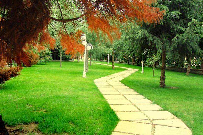 Yalcin 13/21
