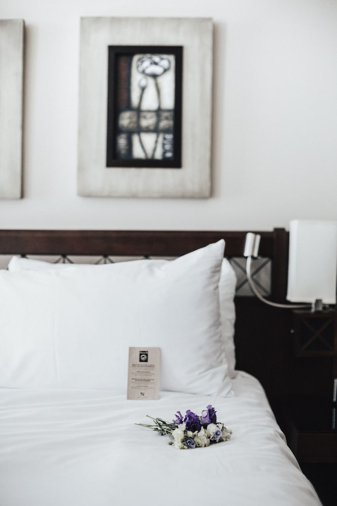 Hotel Nelligan 54/56