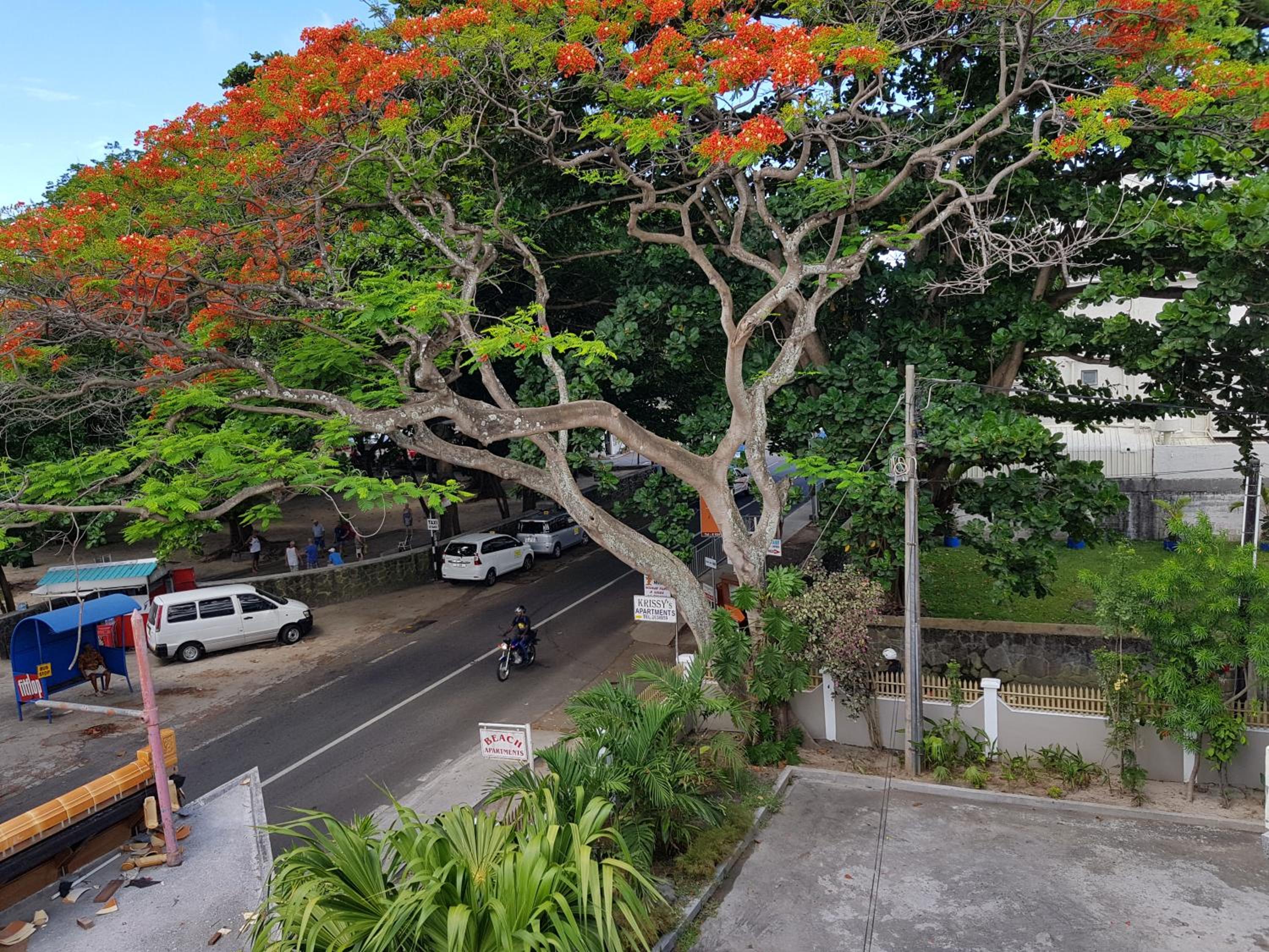 Pereybere Beach Apartments 66/83