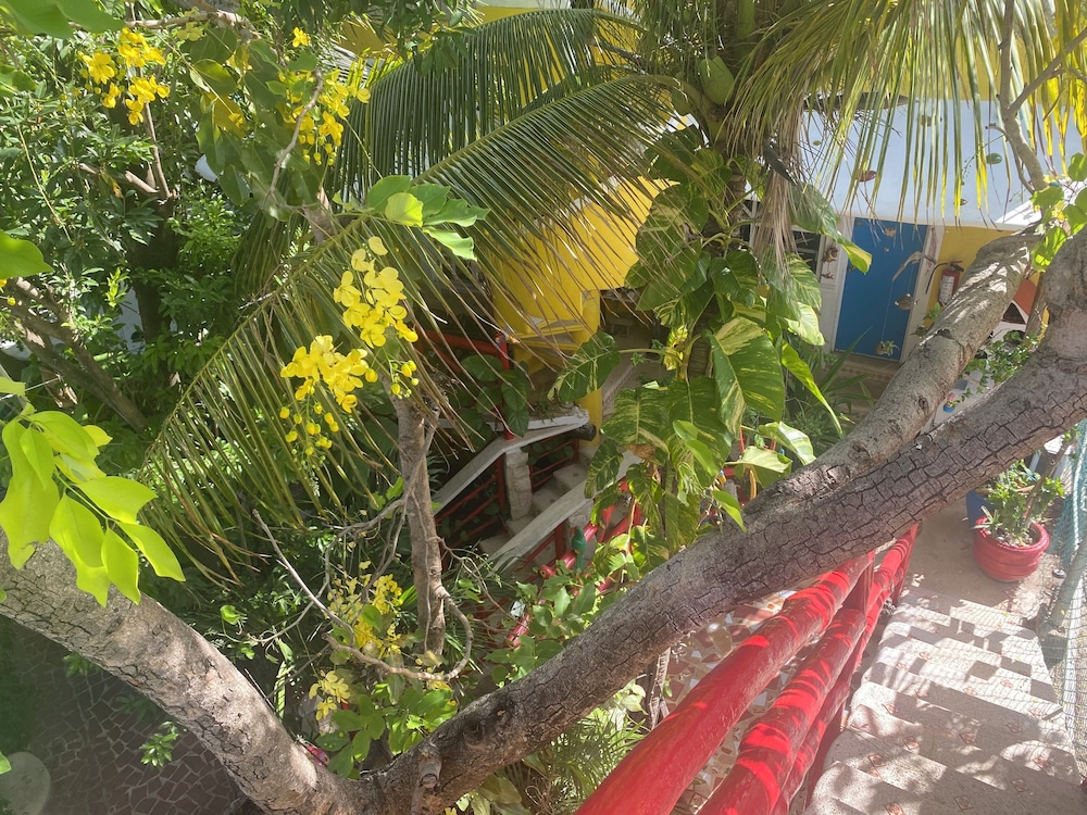 Maison Tulum 66/72