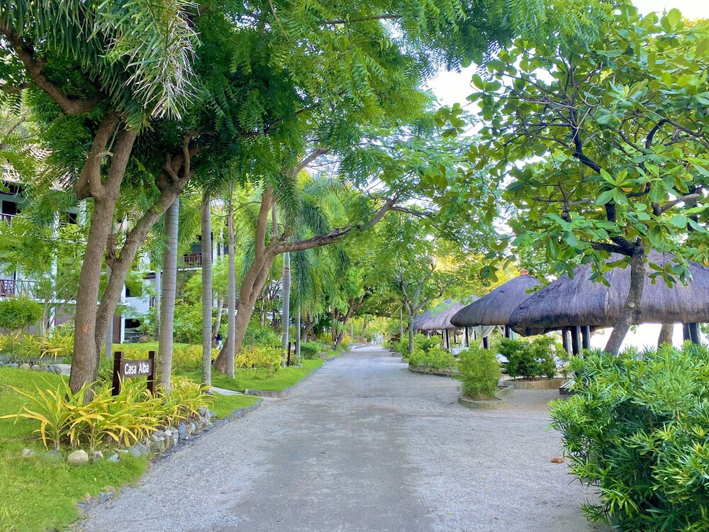 Palm Beach Resort 30/48