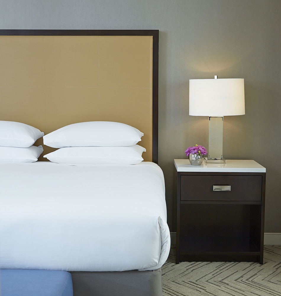 Hyatt Regency Atlanta Perimeter At Villa Christina 28/62