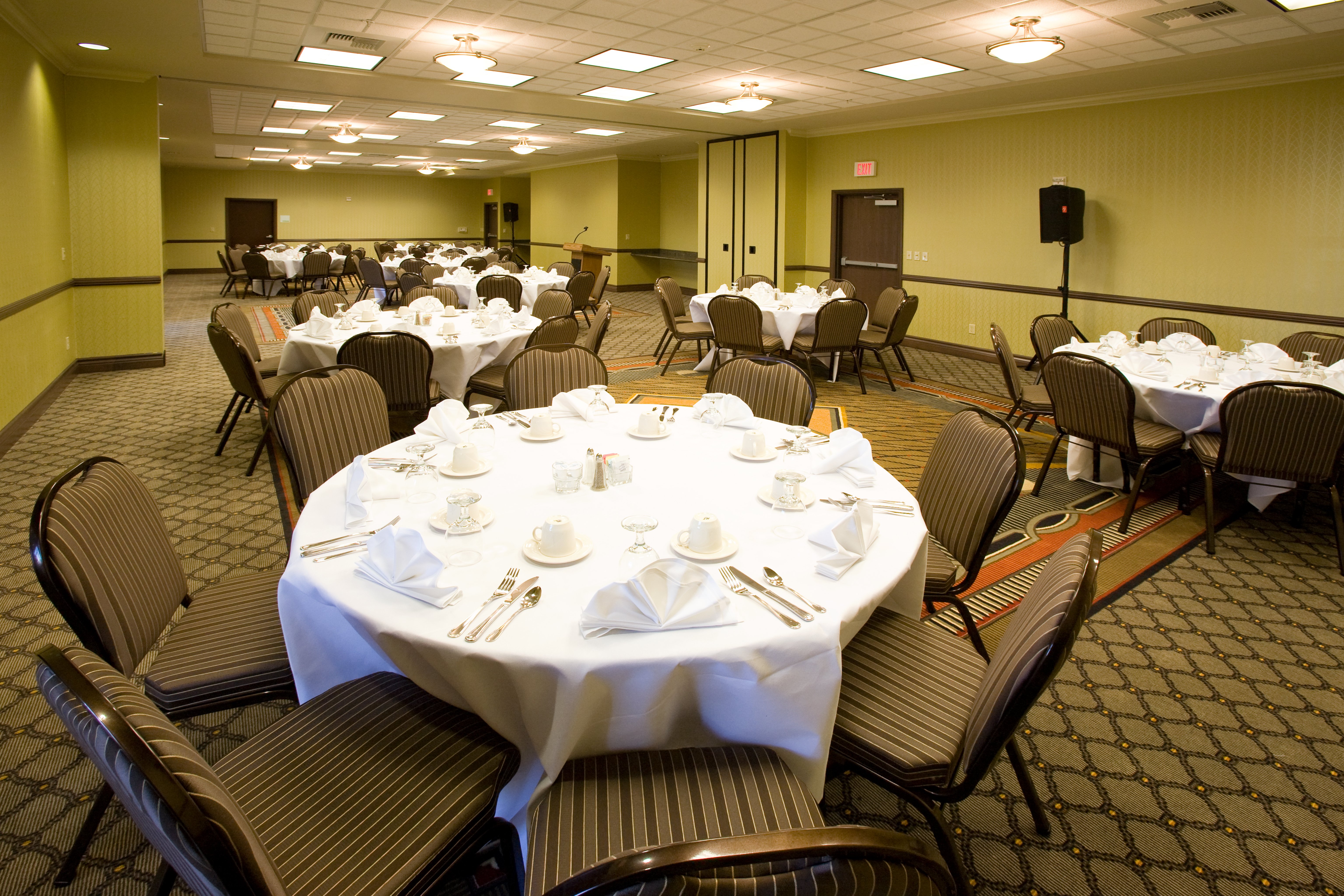 Holiday Inn Hotel Amp Suites Bakersfield North 39/57