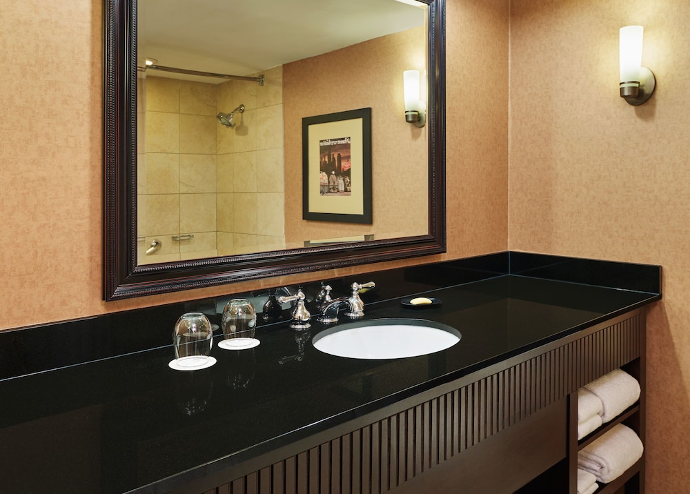 Sheraton Lisle Naperville Hotel 5/34