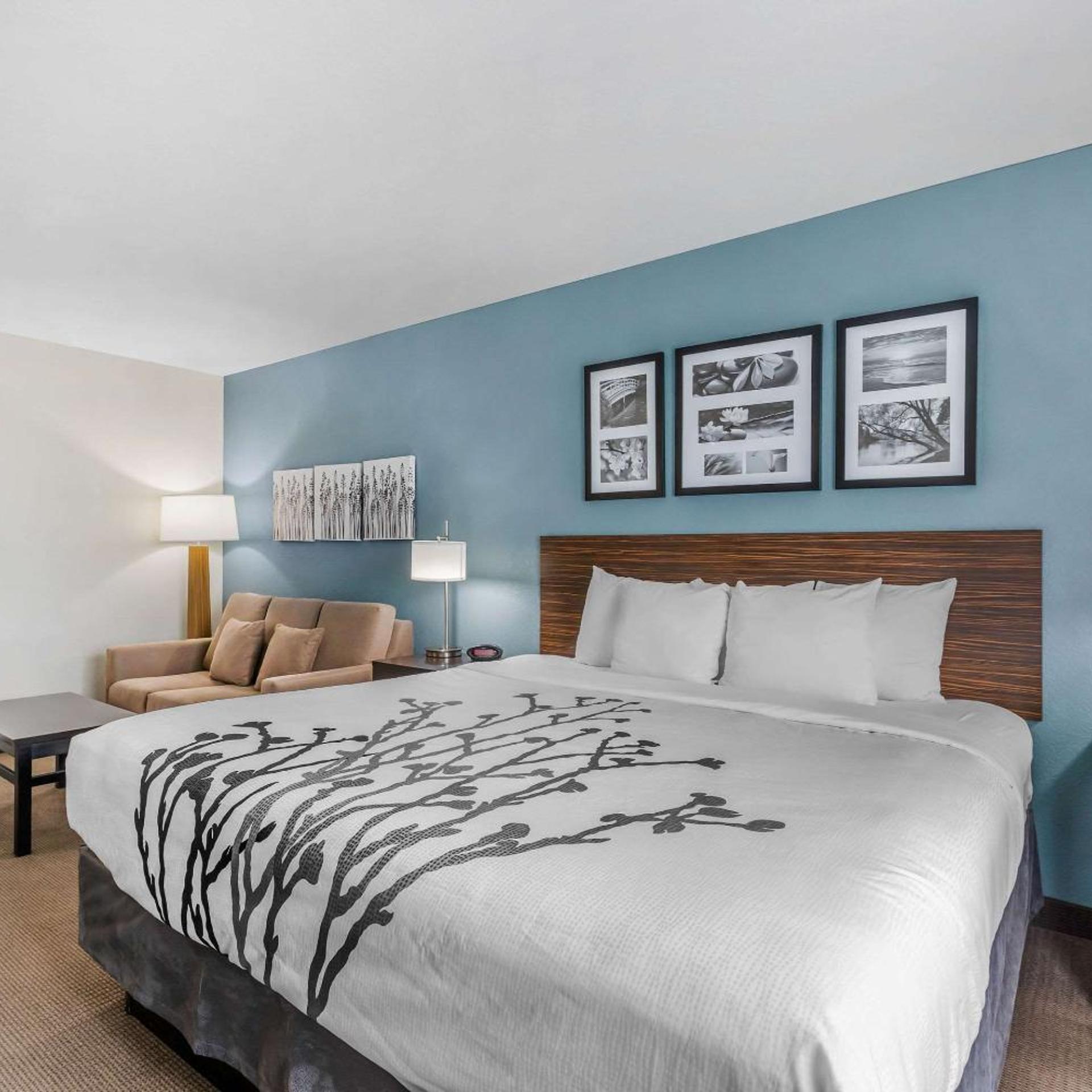 Suite, King Bed, Accessible