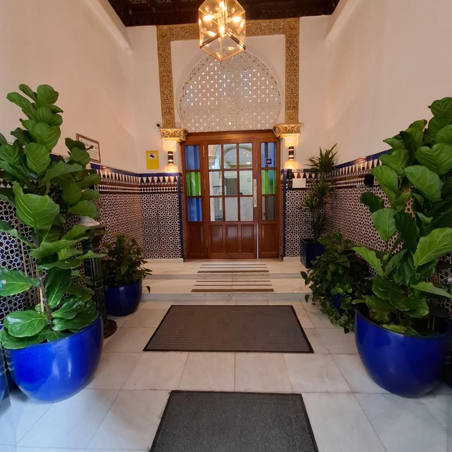 Zaida Hotel 7/50