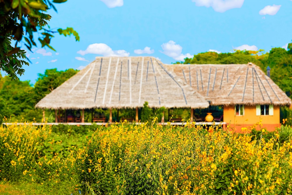 Amuna Ayurvedic Retreat 37/50