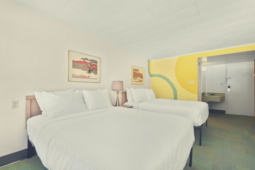 Stardust Motel Wallace 28/65