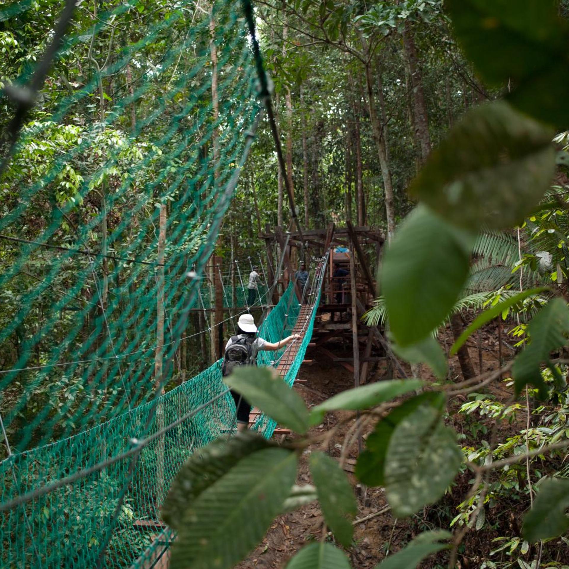 BORNEO TROPICAL RAINFOREST RESORT 27/55