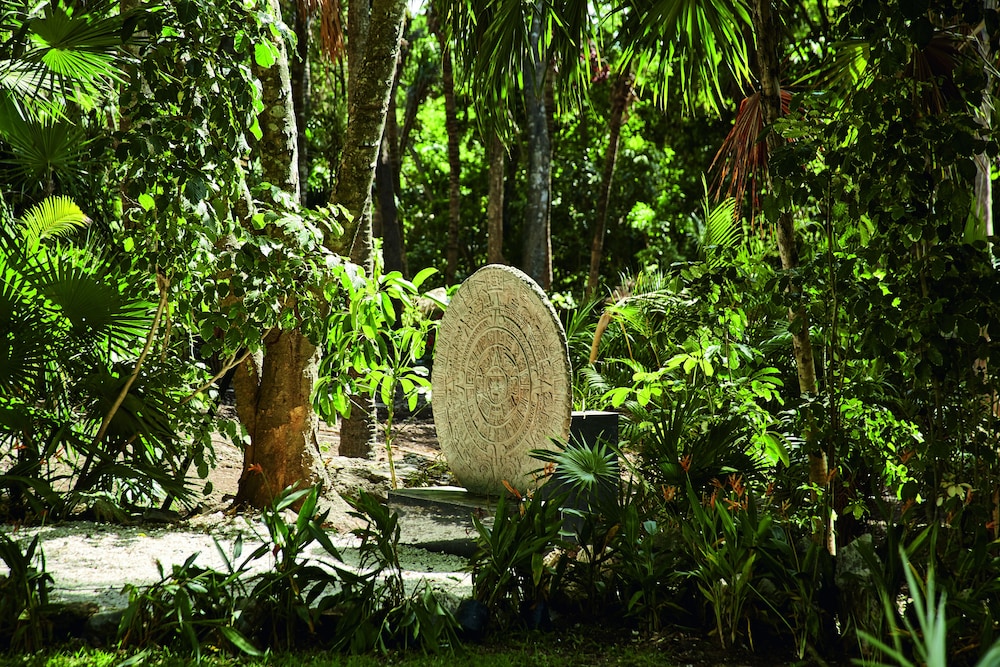 surroundings