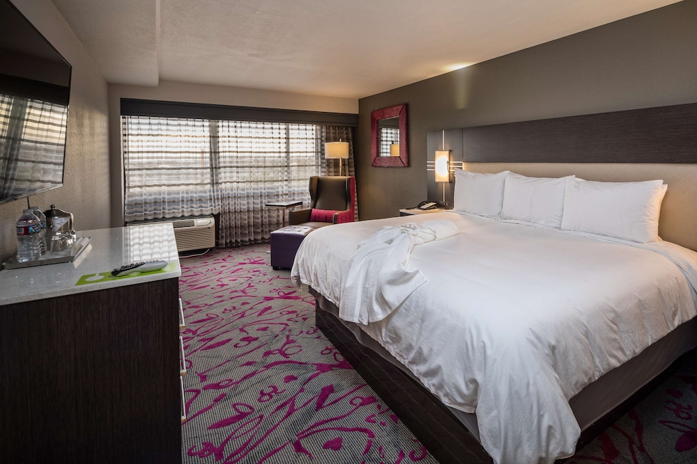 Radisson Hotel Oakland Airport 17/63
