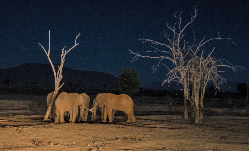 Sentrim Tsavo Lodge 27/42