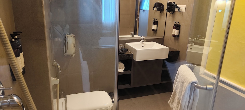 Royal Orchid Central Vadodara 48/50
