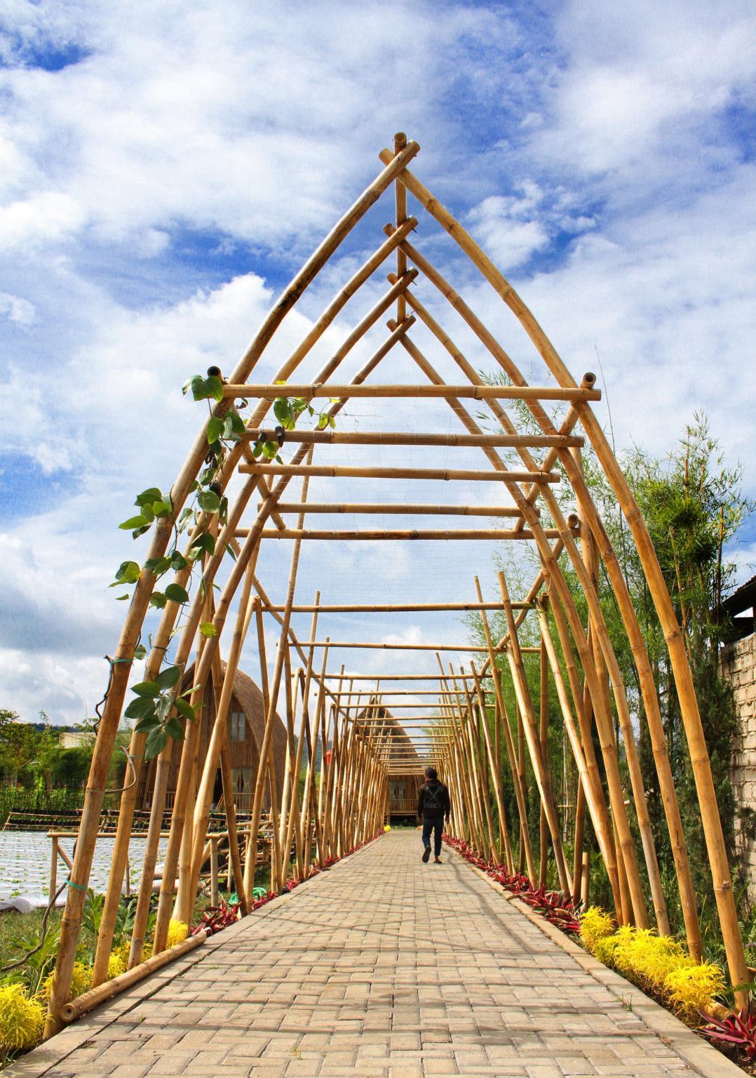 Villa Chavaminerva Bambu - Lembang 37/44