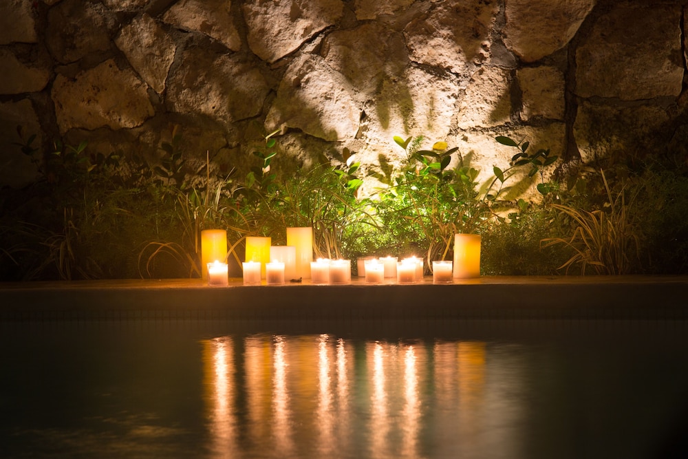 Livetulum 24/58
