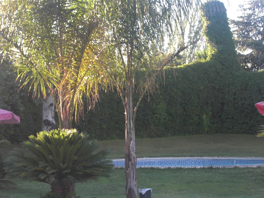 Don Gonzalo 21/30