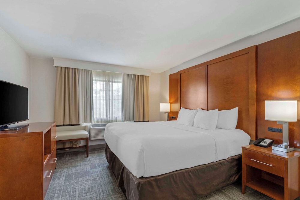 جناح بسرير كينج مع أريكة، Comfort Suites At Evergreen Parkway 2/10