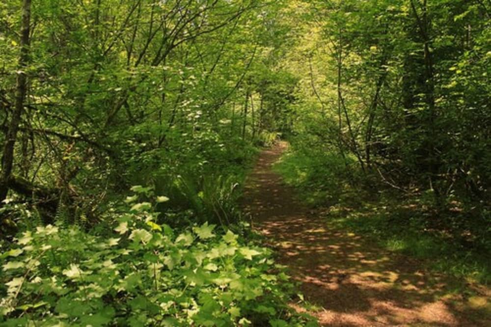 surroundings