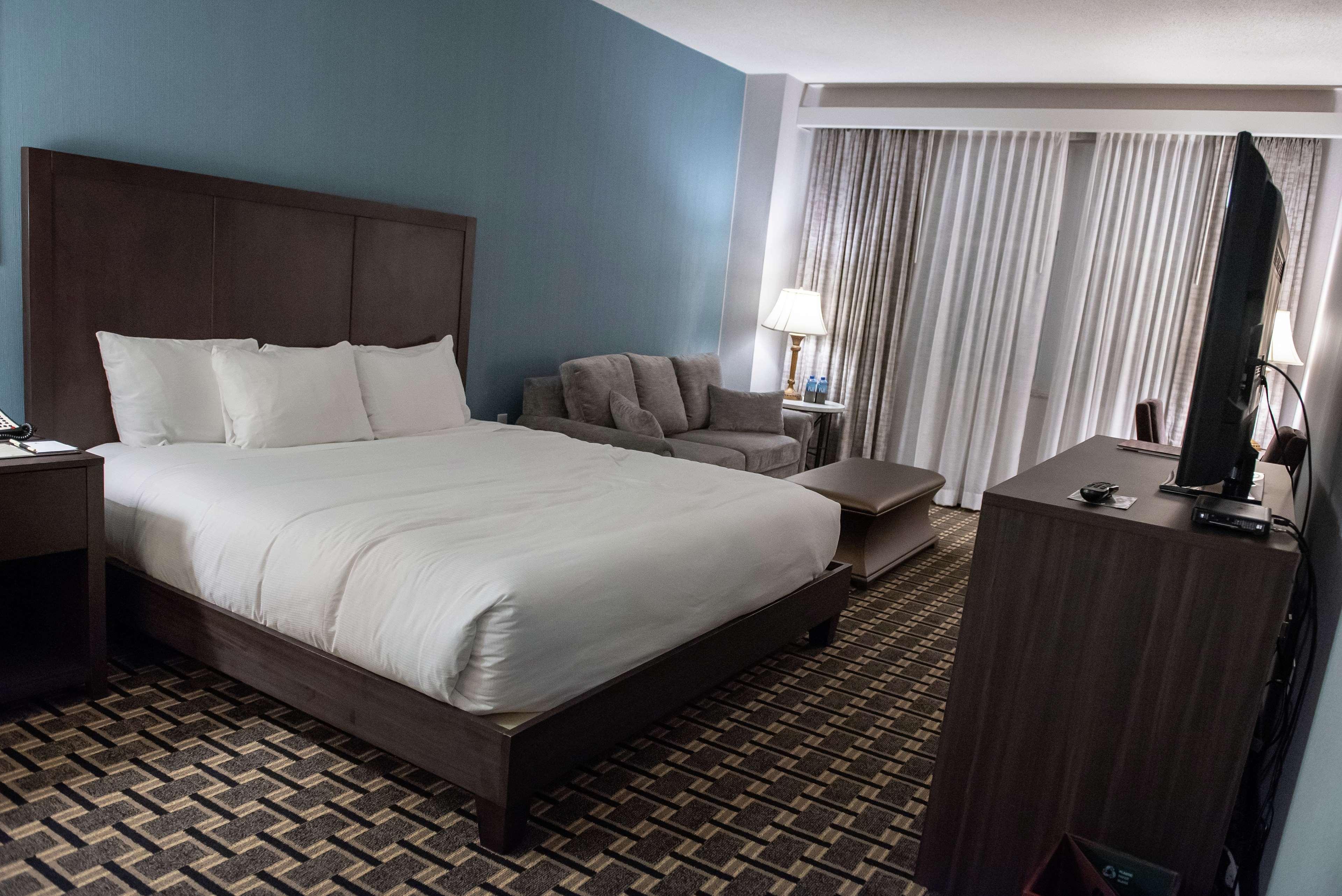 ROOM, KING BED, SOFA, LARGE