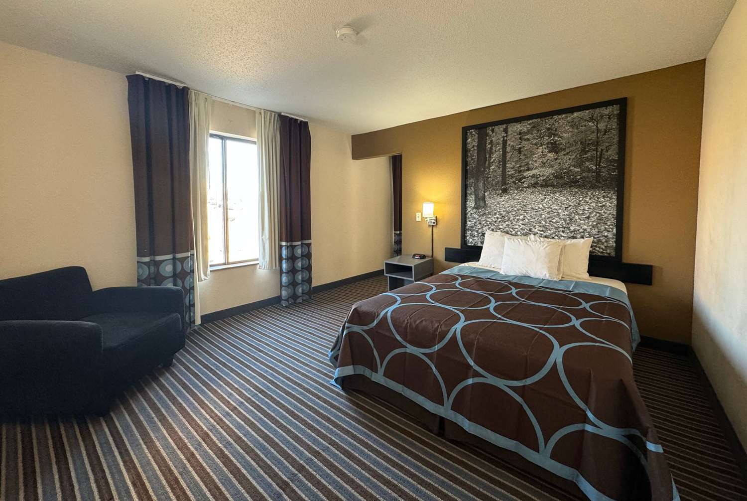 Super 8 by Wyndham Columbia Clark Lane 6/16