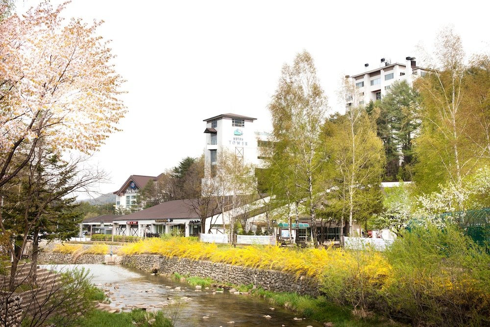 Yong Pyong Resort 41/50