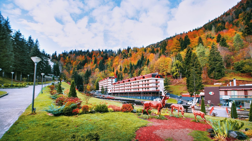 Sairme Hotels & Resorts 29/37