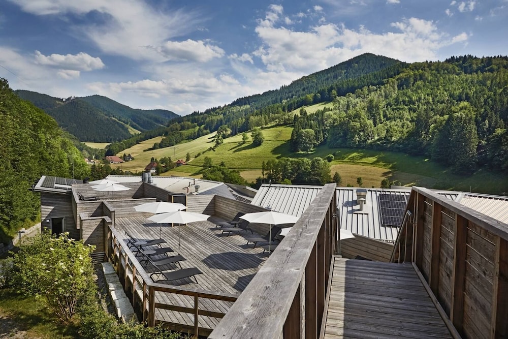 ElzLand Hotel Pfauen Wellness Spa and Vitalis Hotel 38/50