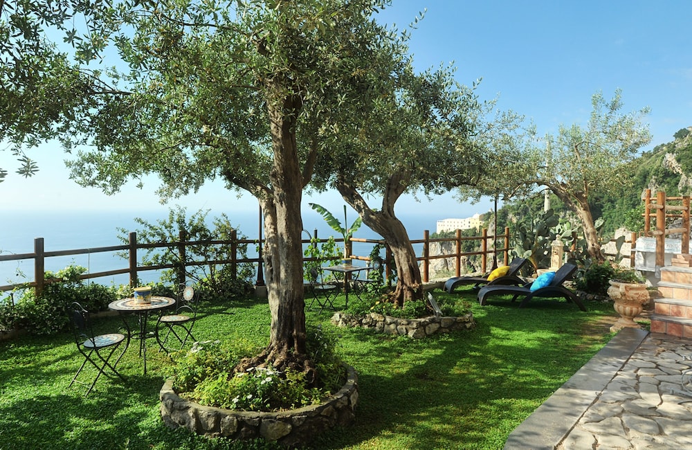 World Center Resort 43/67