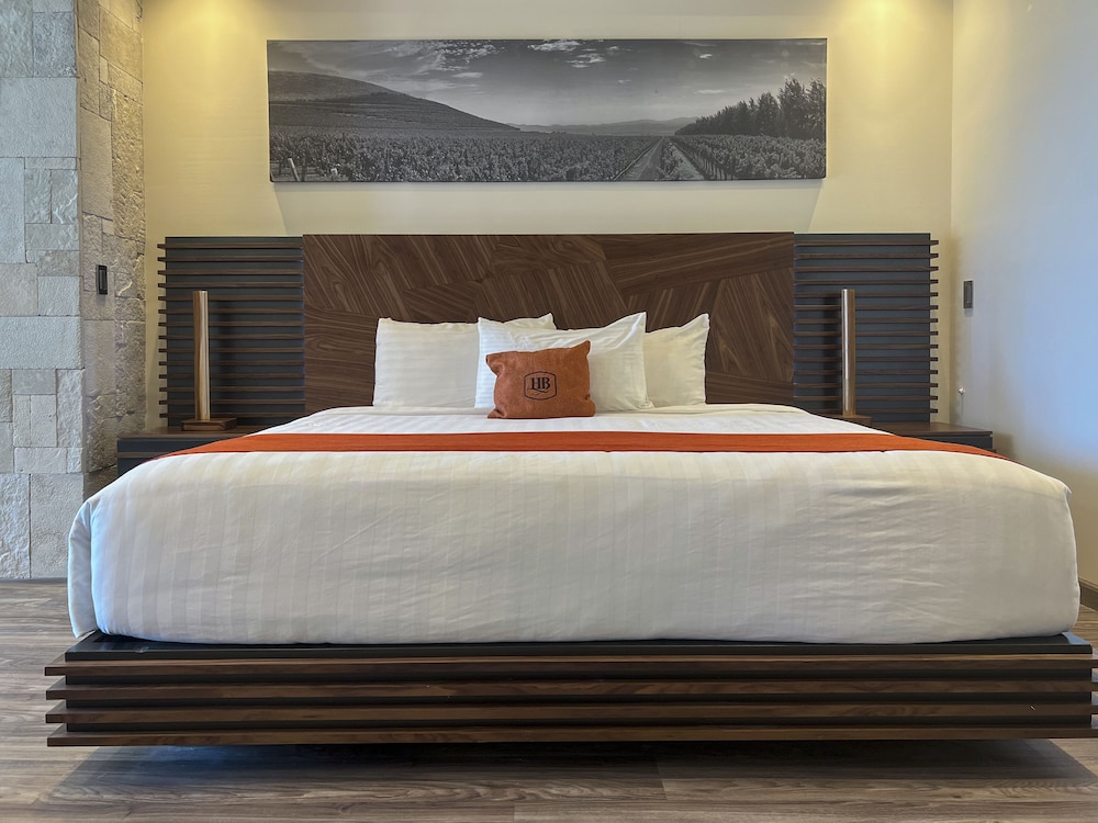 HOTEL BOUTIQUE VALLE DE GUADALUPE 47/83
