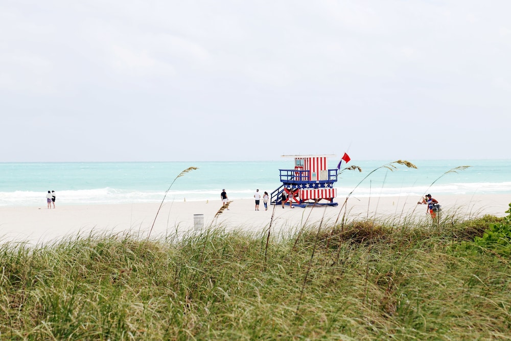 Cavalier South Beach 46/64