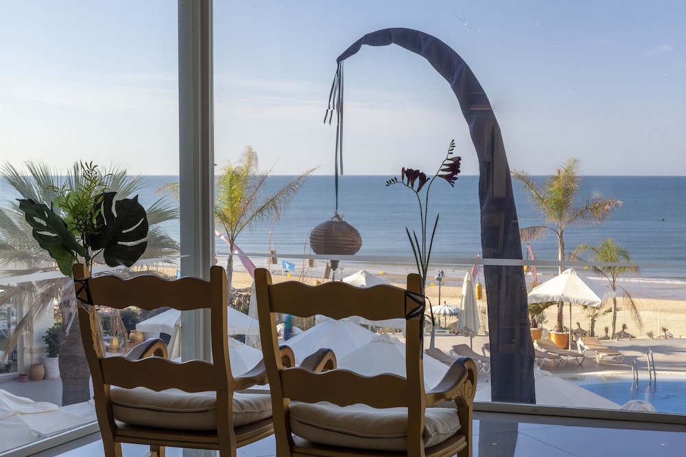 On Hotels Oceanfront Adults Designed 24/50