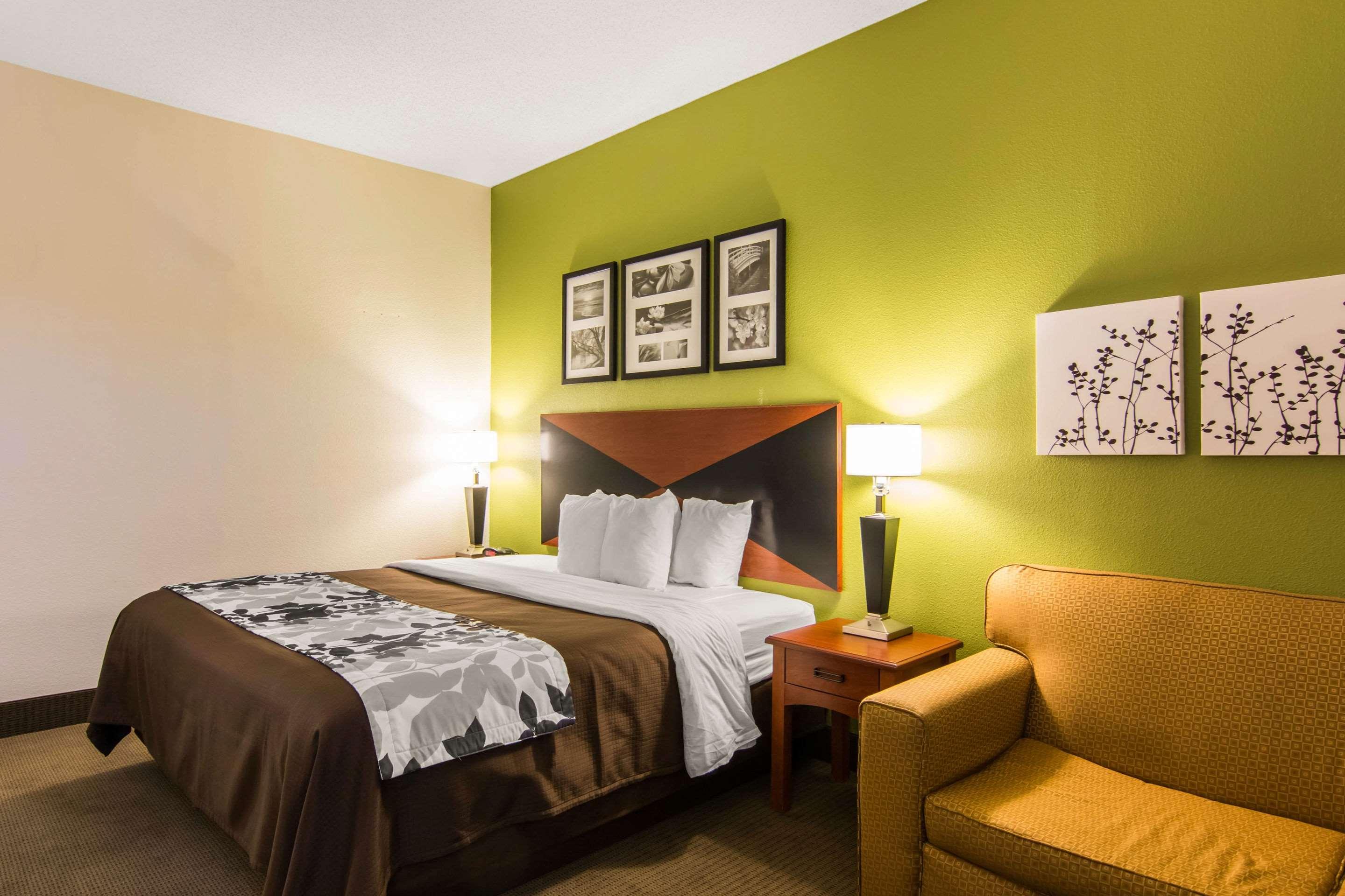 Room, King Bed
