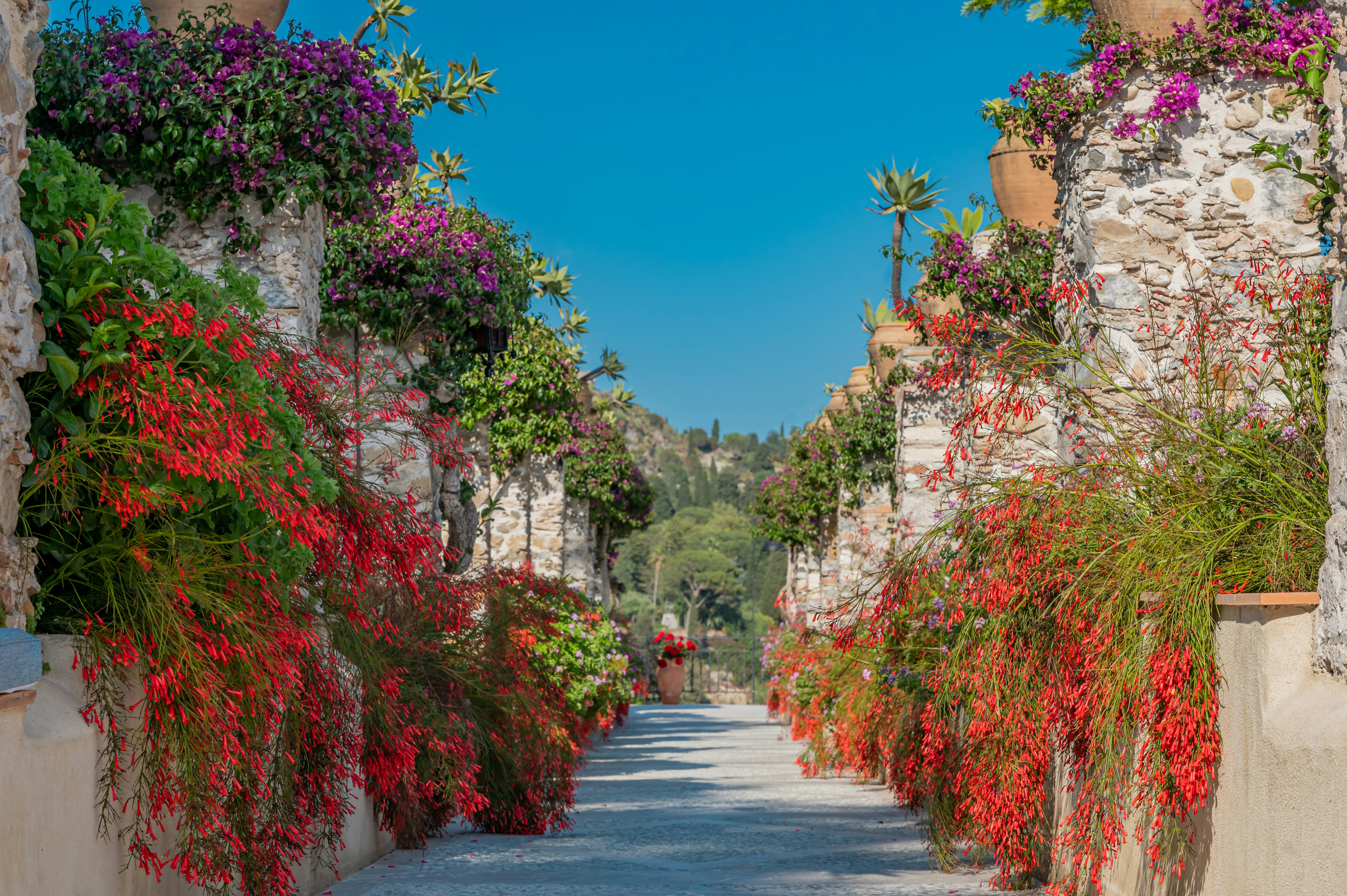 San Domenico Palace, Taormina, a Four Seasons Hotel 21/39