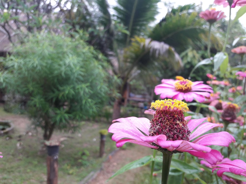 Nusha Homestay 28/35
