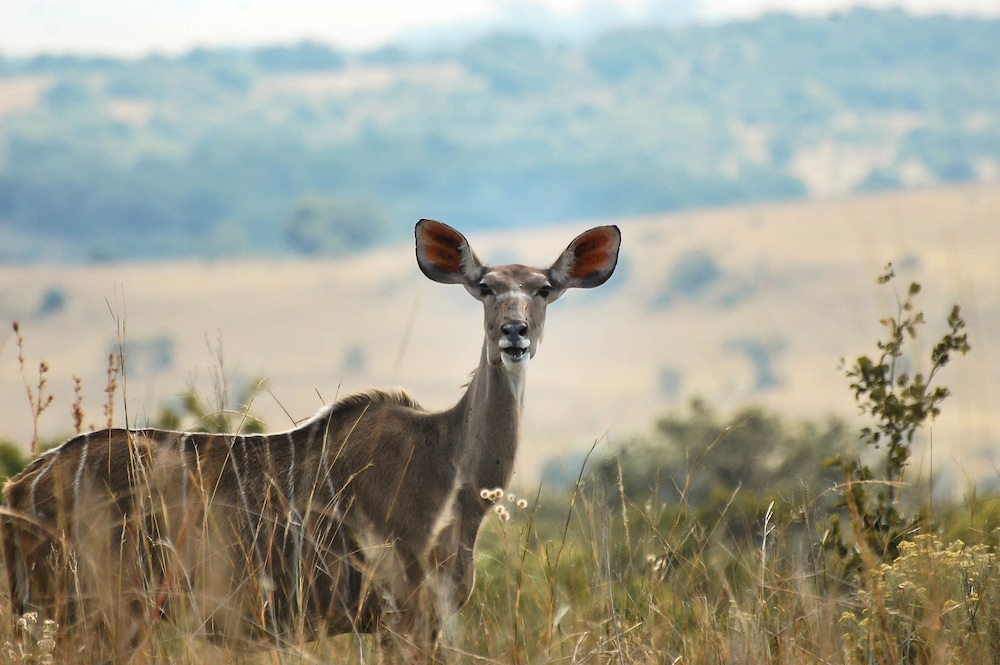 B'sorah Luxury Tented Camp 11/13