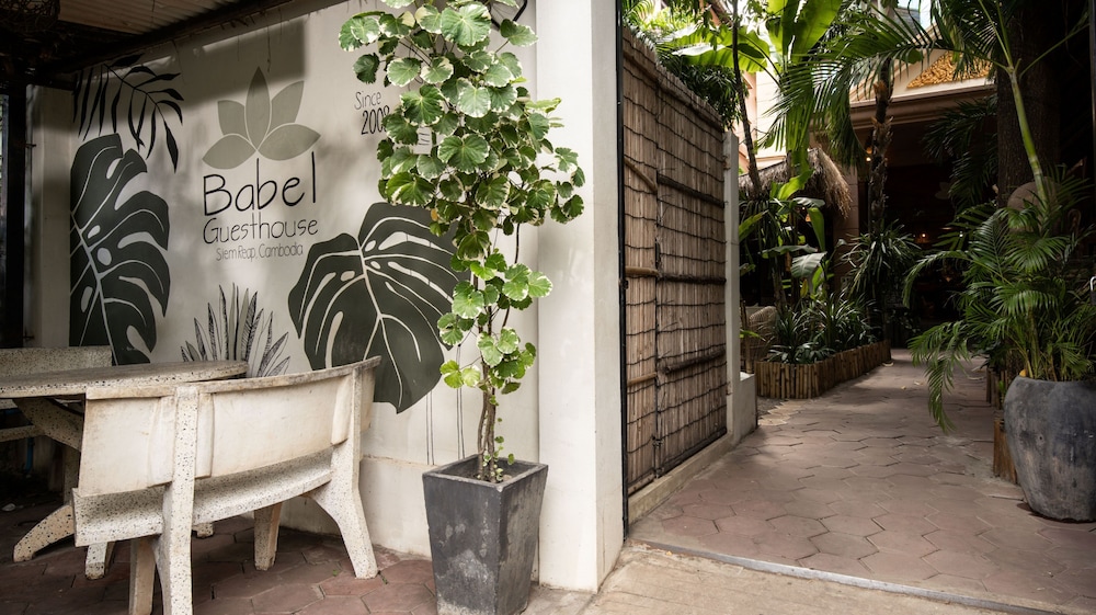 Babel Guesthouse 7/68