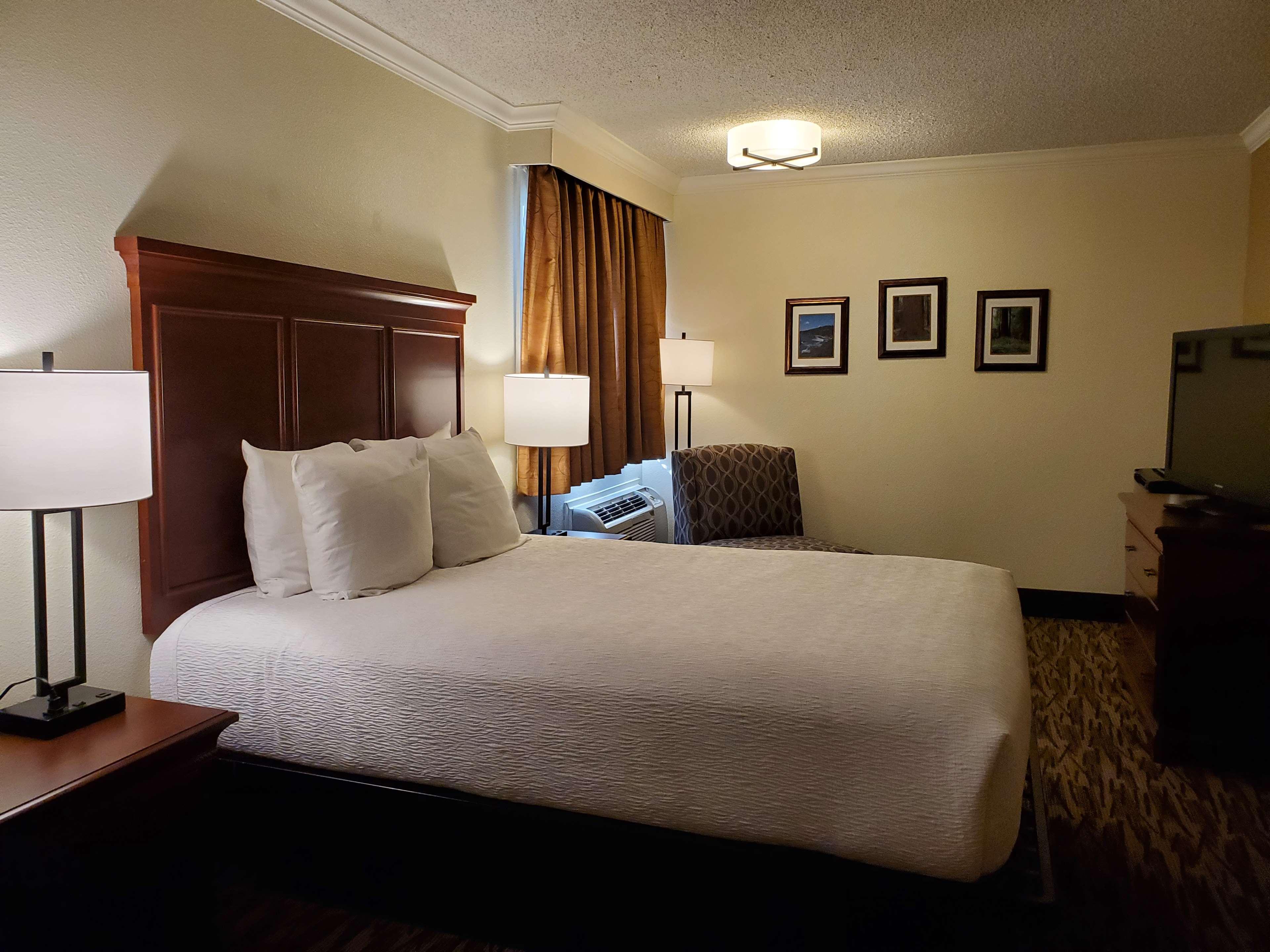 Economy, Double Bed