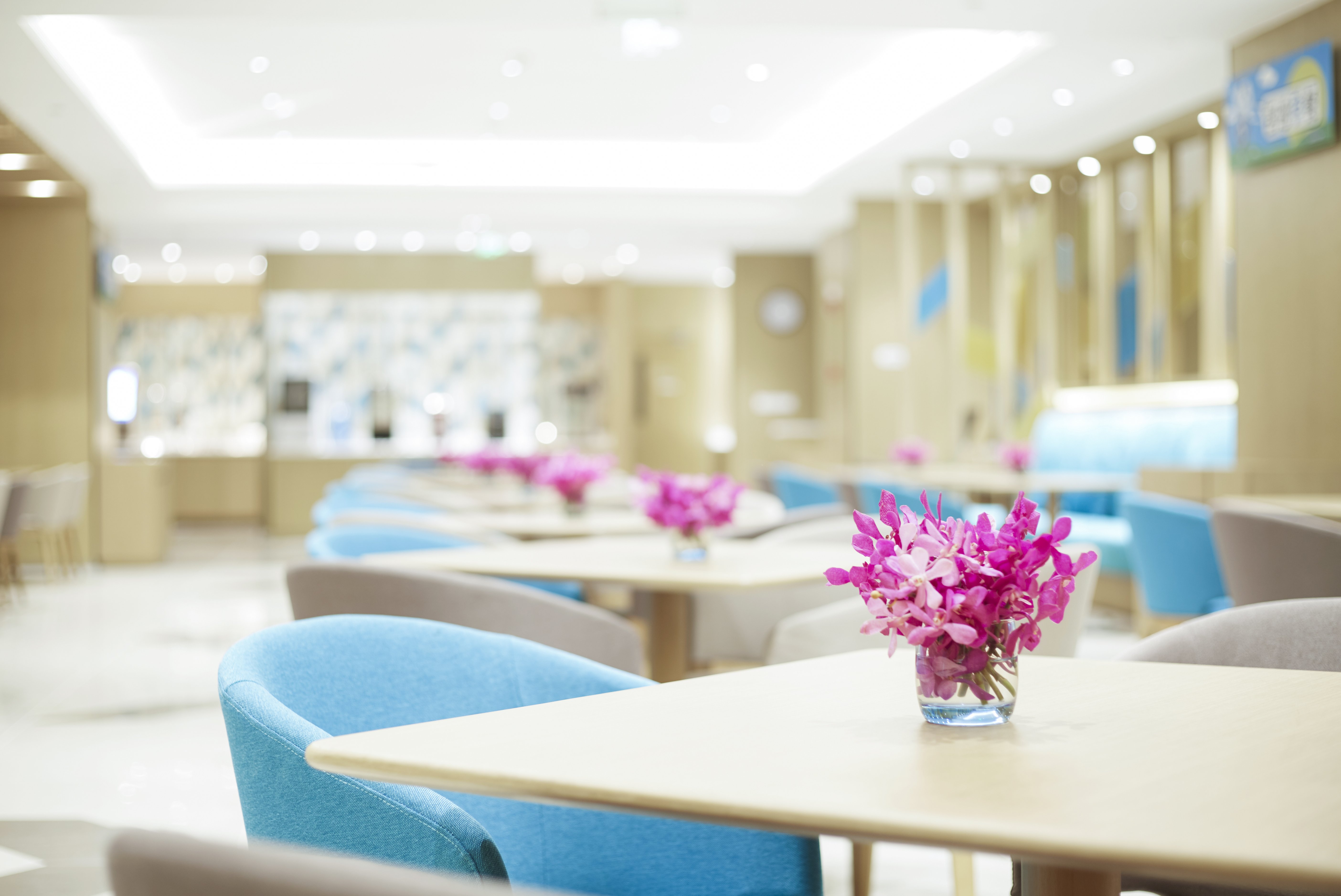HOLIDAY INN EXPRESS ZHENGZHOU LONGZI LAKE 14/22