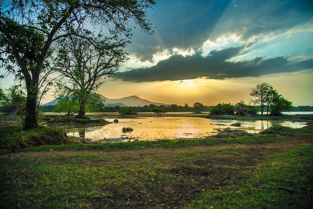 Wadula Safari Yala 24/33