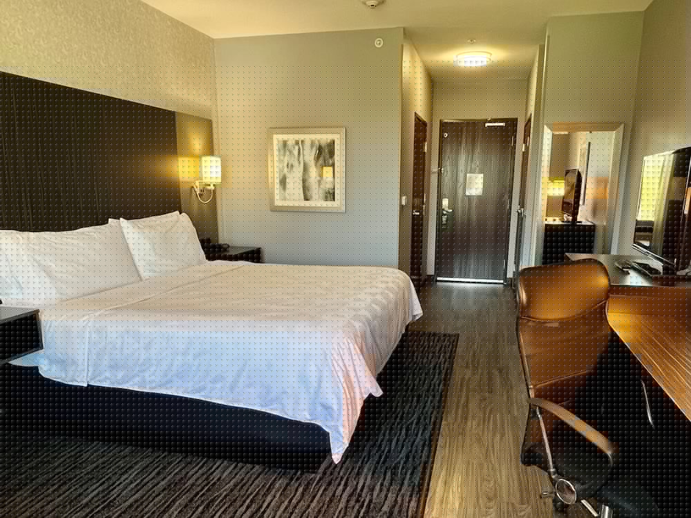 Holiday Inn Carlsbad 24/73
