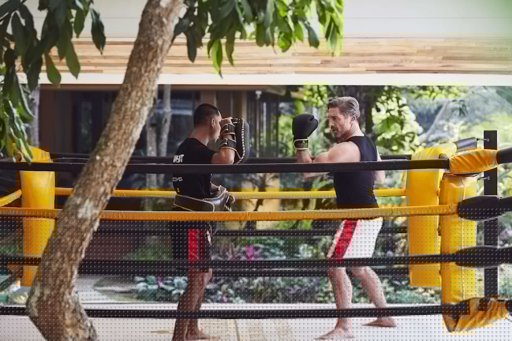 Anantara Golden Triangle Elephant Camp Resort 71/82