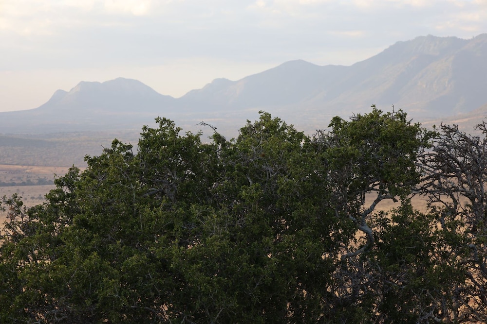 Taita Hills Safari Resort And Spa 50/63