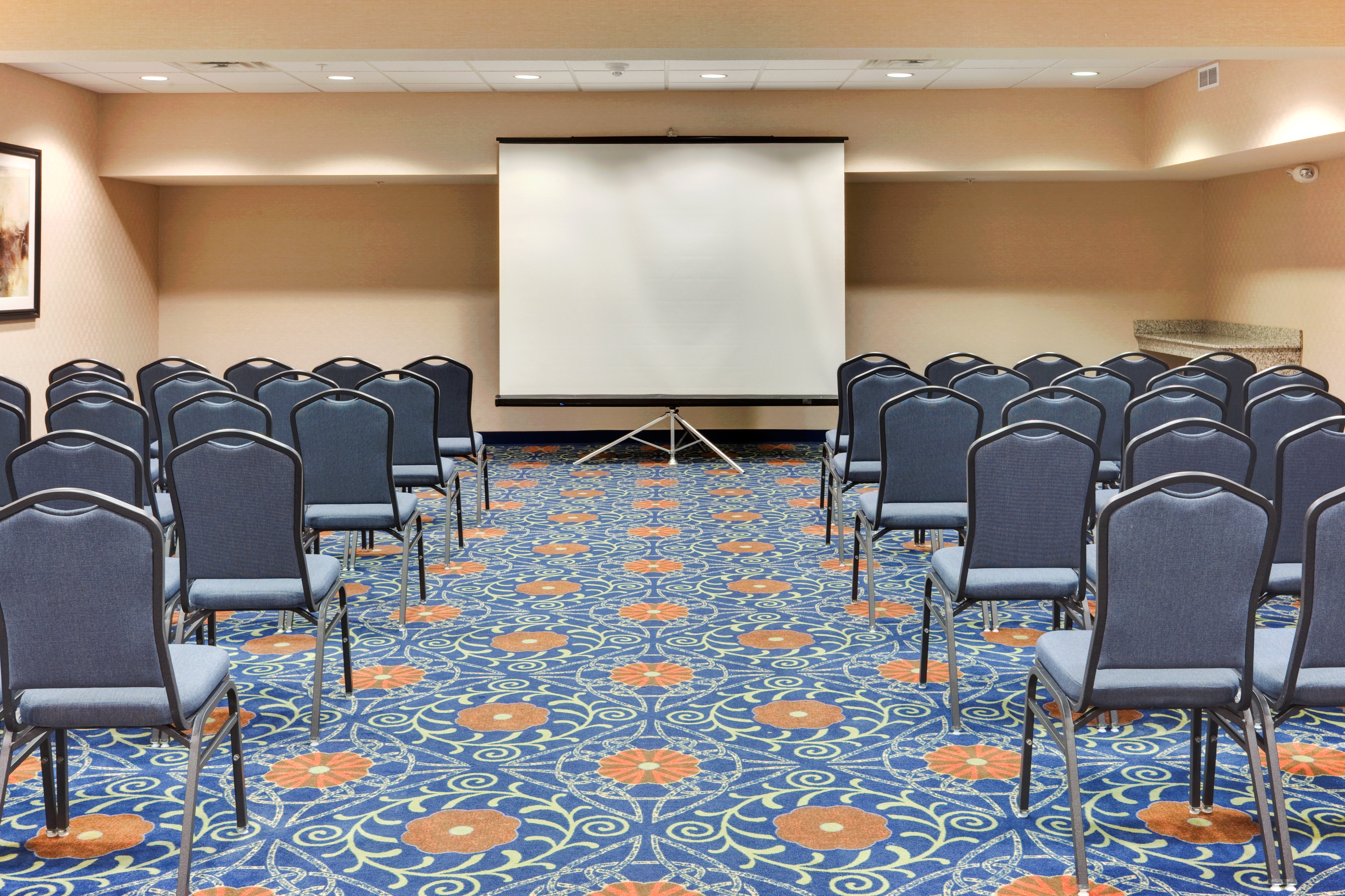 Holiday Inn Express Hotel & Suites Detroit-Novi 60/69